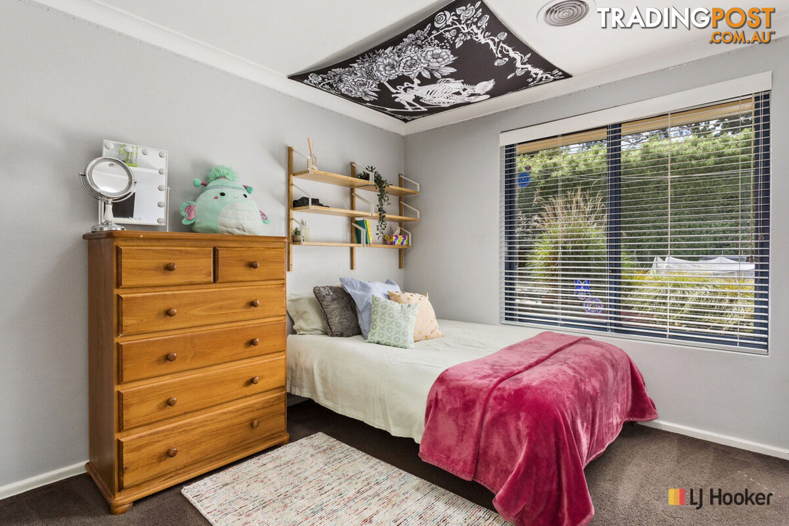 186 Duffy Street AINSLIE ACT 2602