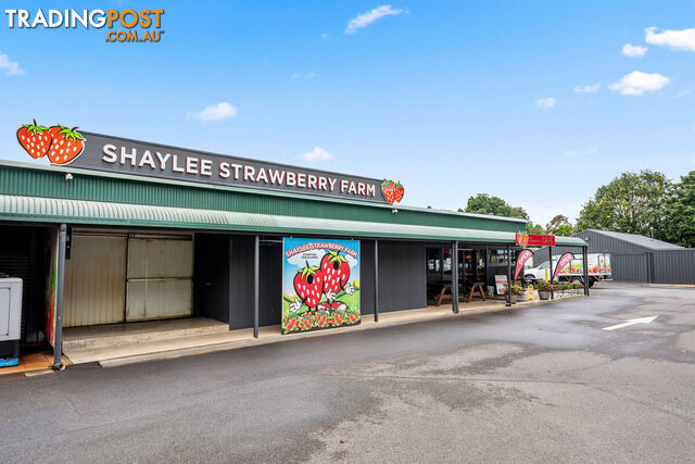 255 Marks Lane ATHERTON QLD 4883