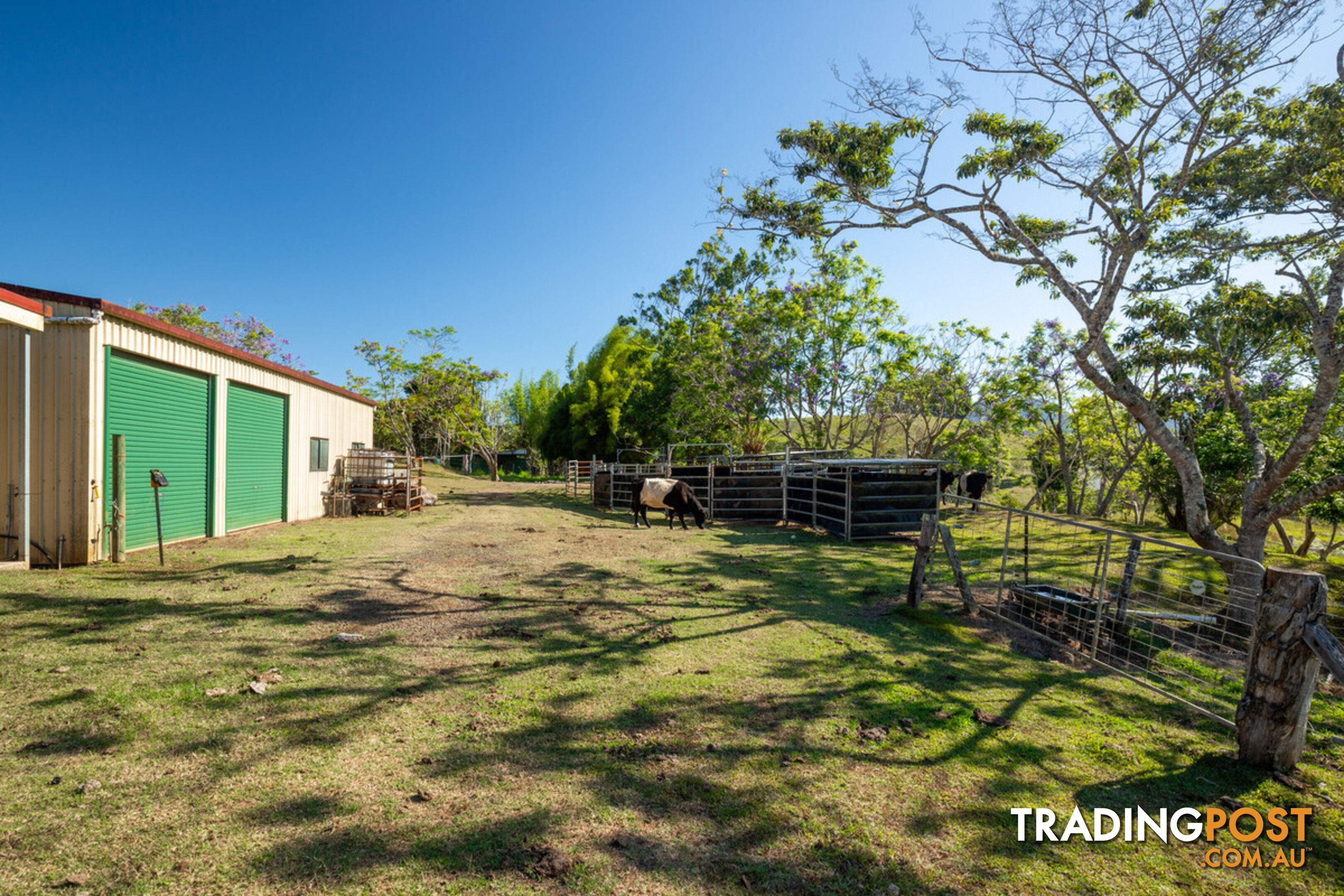 788 Millaa Millaa Malanda Road MINBUN QLD 4886