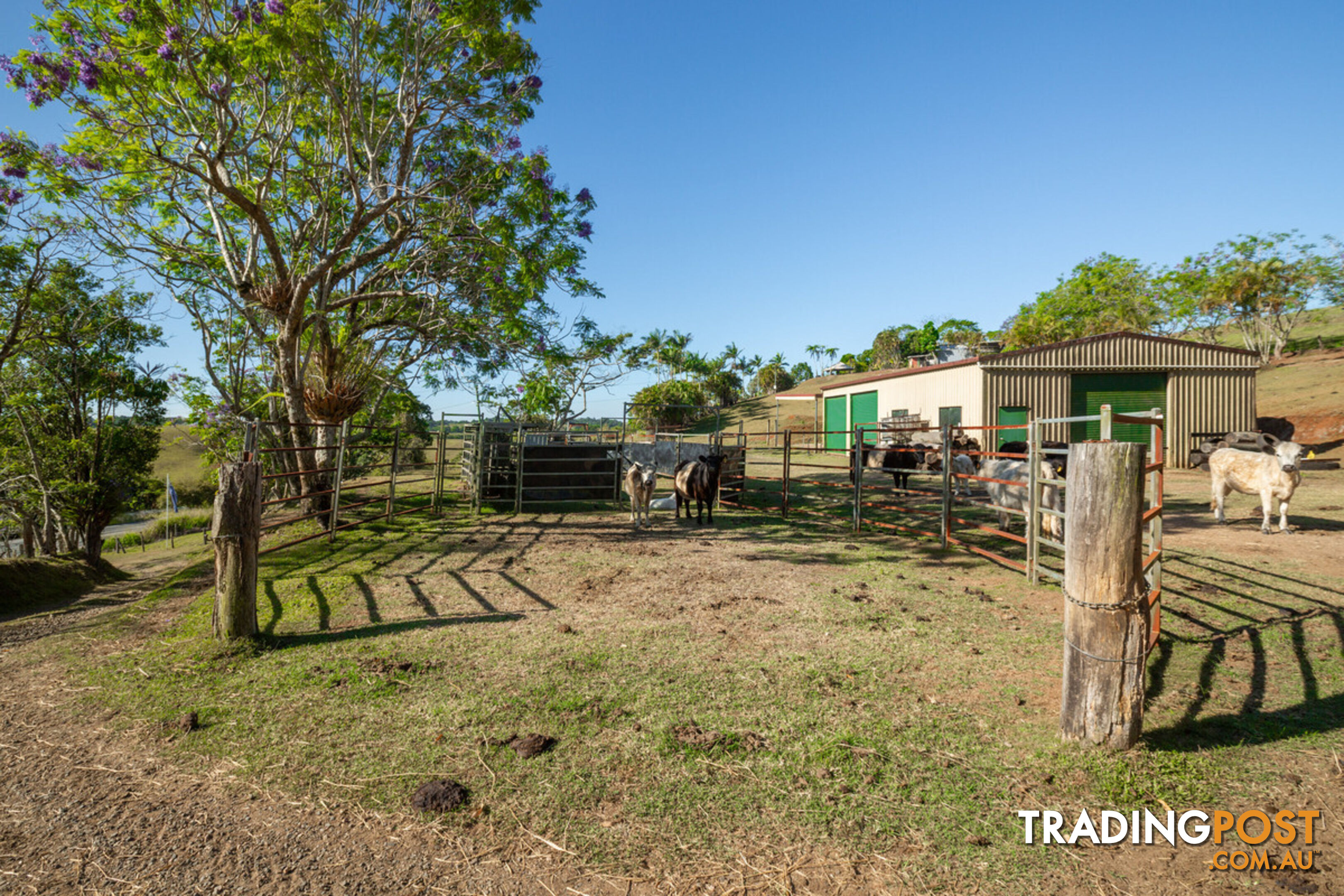 788 Millaa Millaa Malanda Road MINBUN QLD 4886