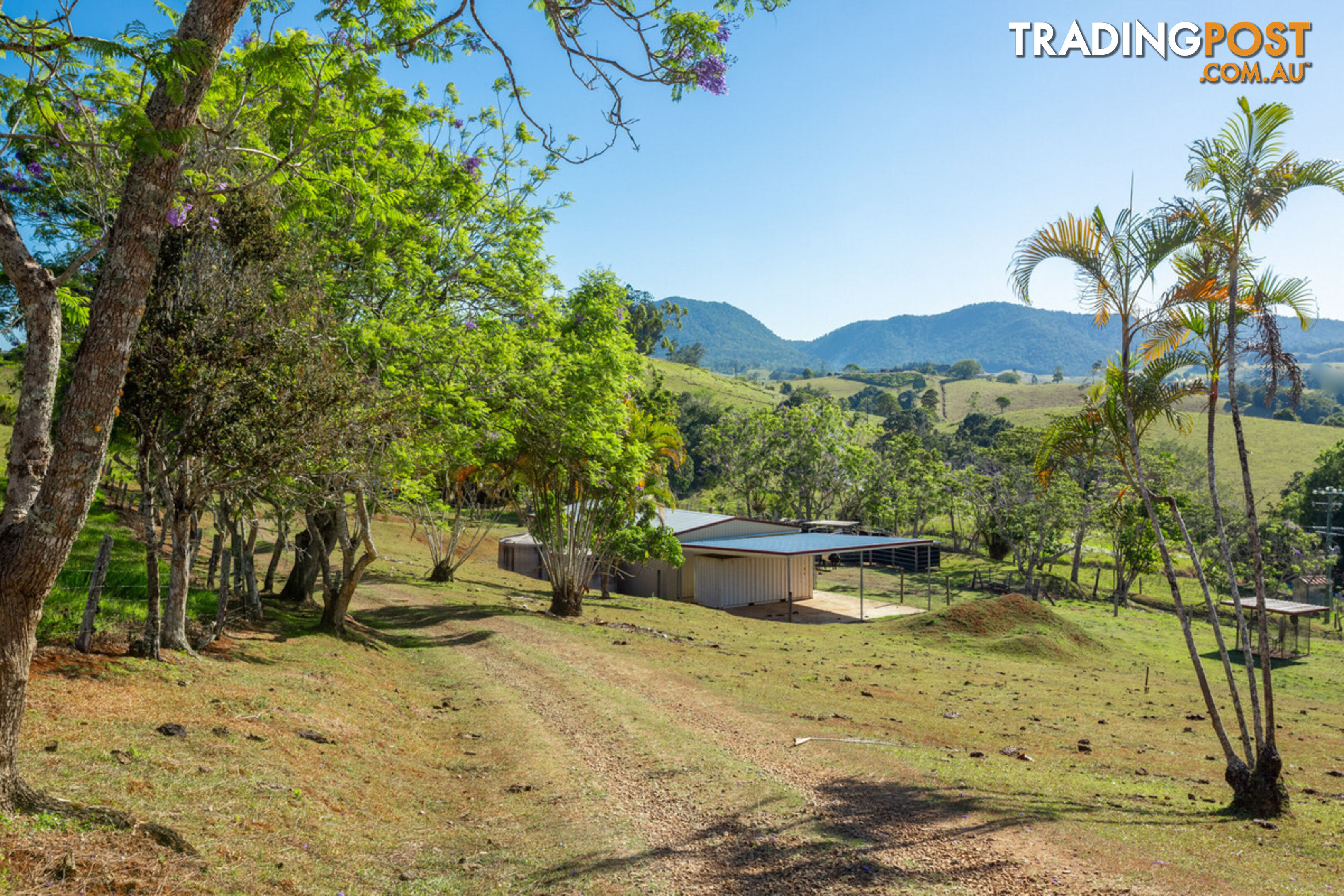 788 Millaa Millaa Malanda Road MINBUN QLD 4886