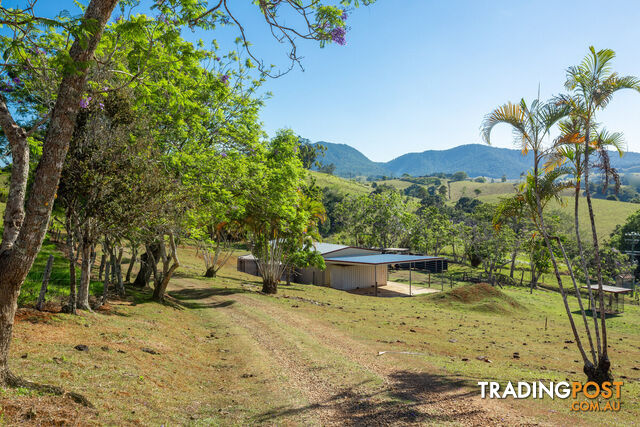 788 Millaa Millaa Malanda Road MINBUN QLD 4886