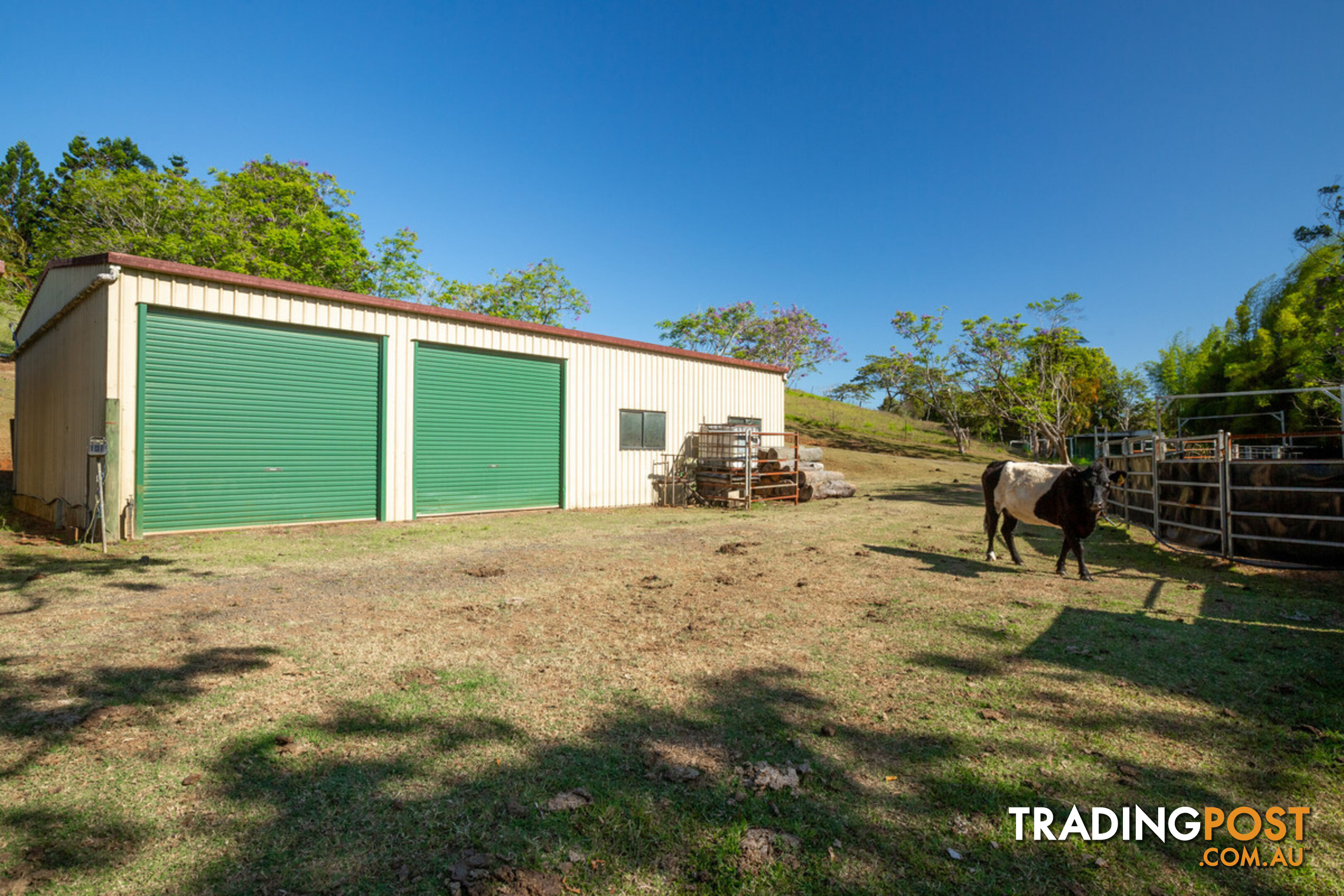 788 Millaa Millaa Malanda Road MINBUN QLD 4886