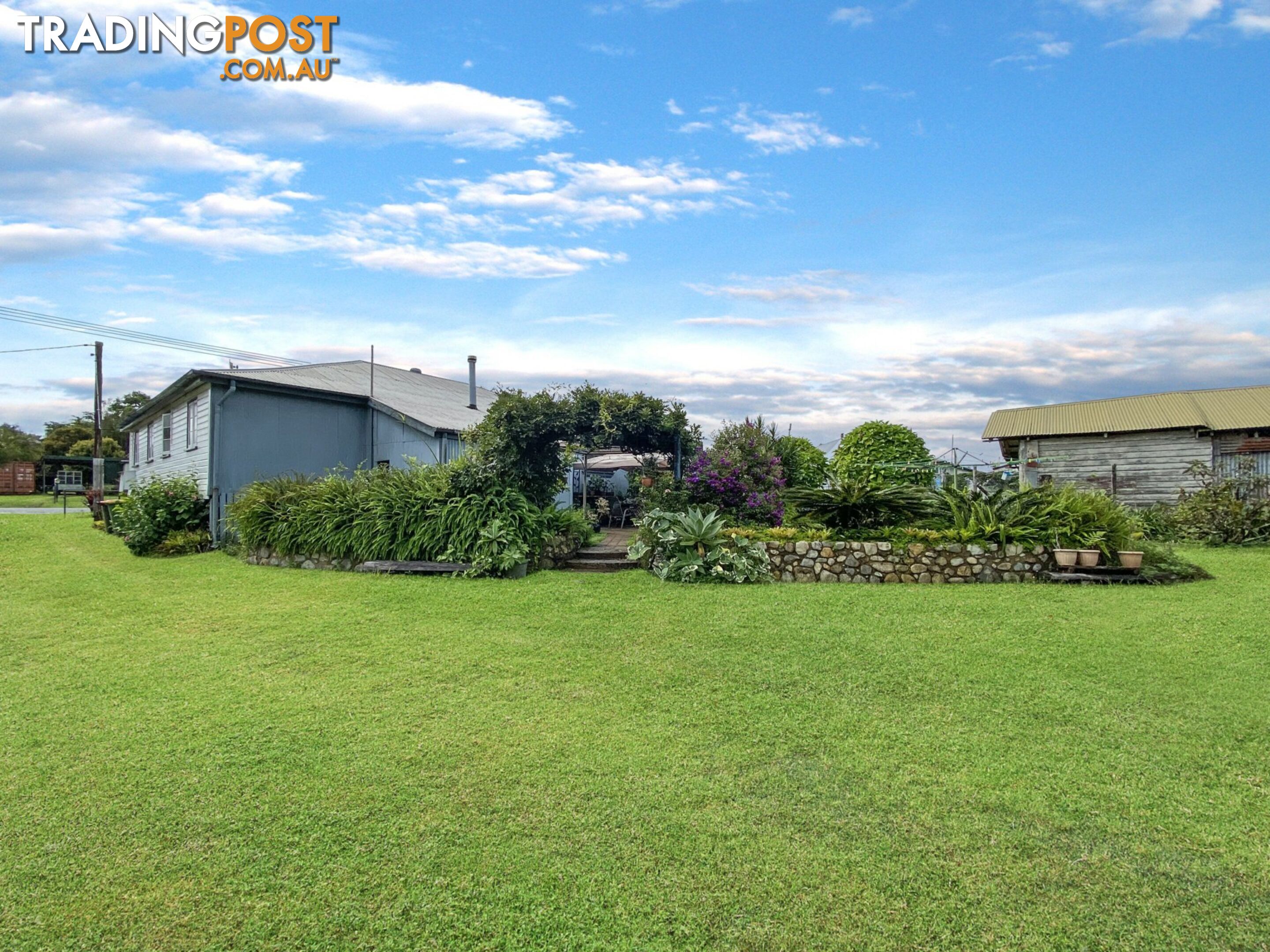 12 Wattle Street MILLAA MILLAA QLD 4886