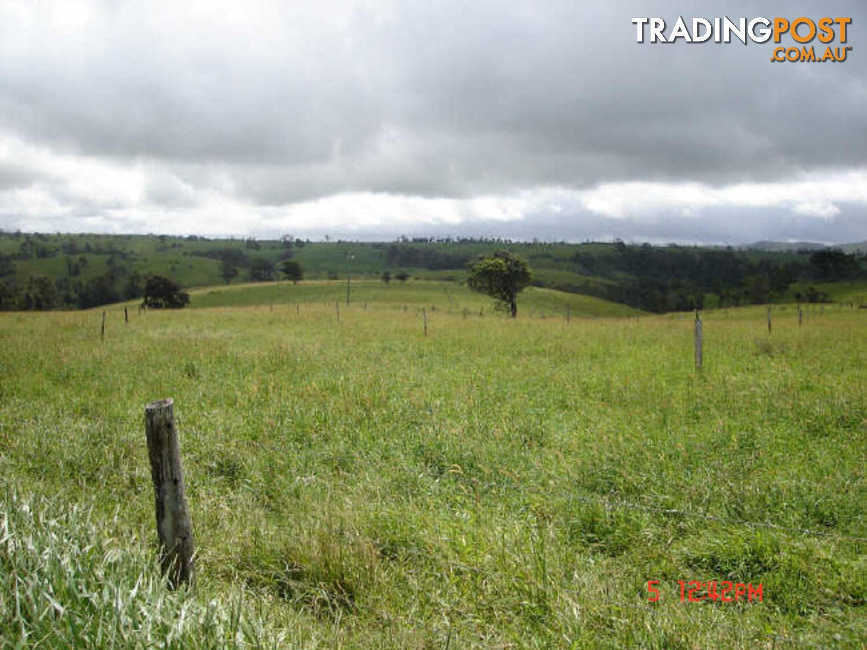 MILLAA MILLAA QLD 4886