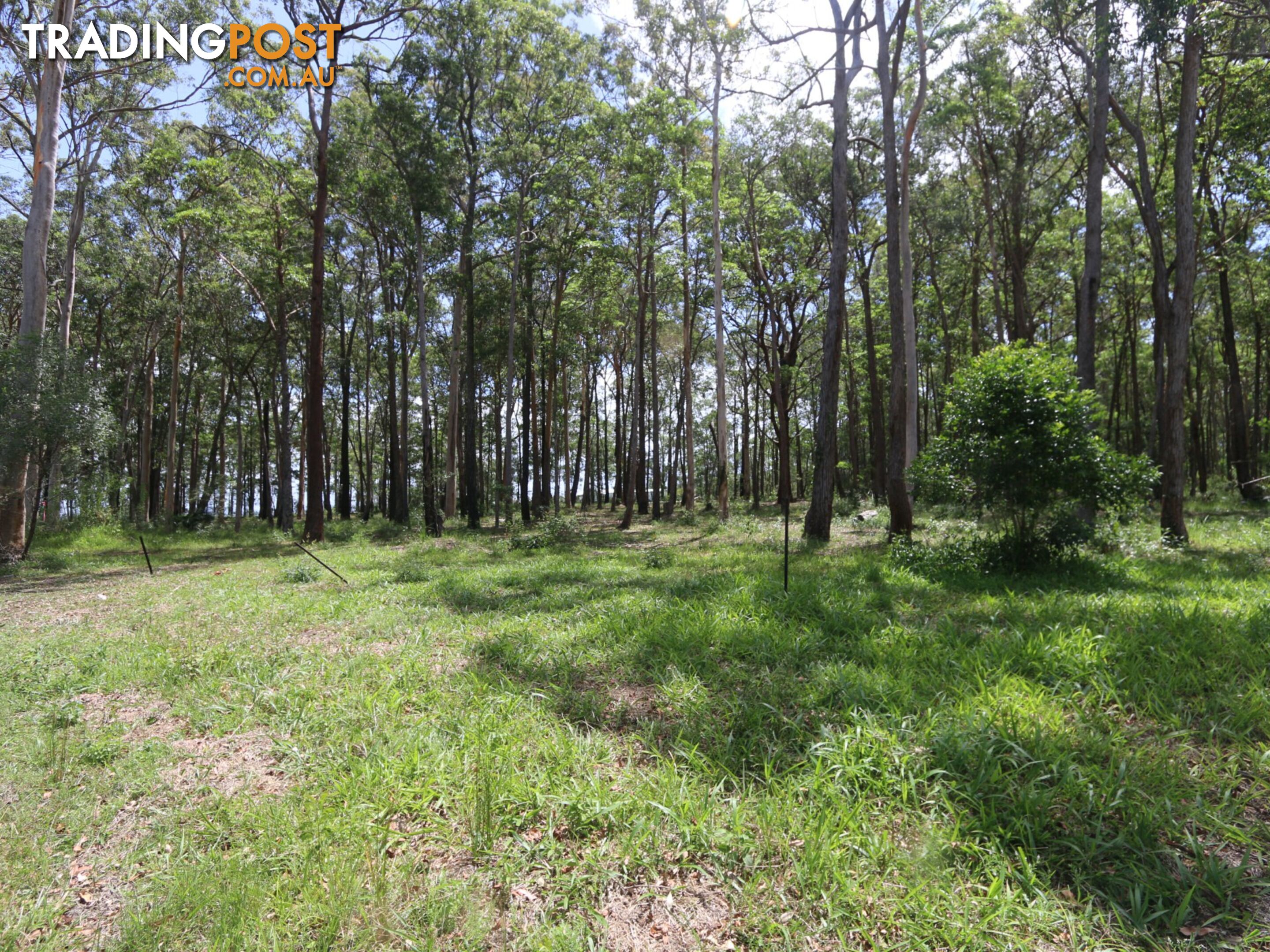 Lot 6 West Street WOOMBAH NSW 2469