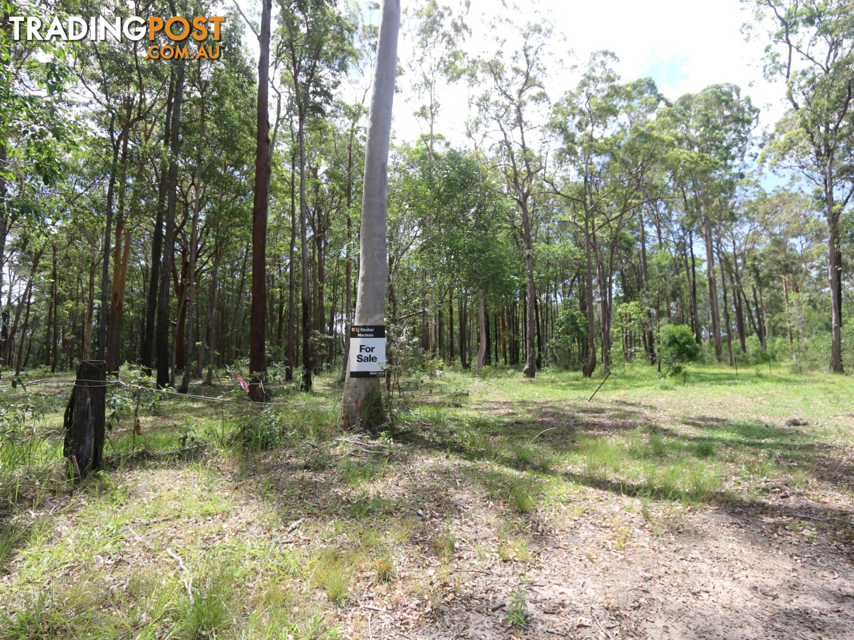 Lot 6 West Street WOOMBAH NSW 2469