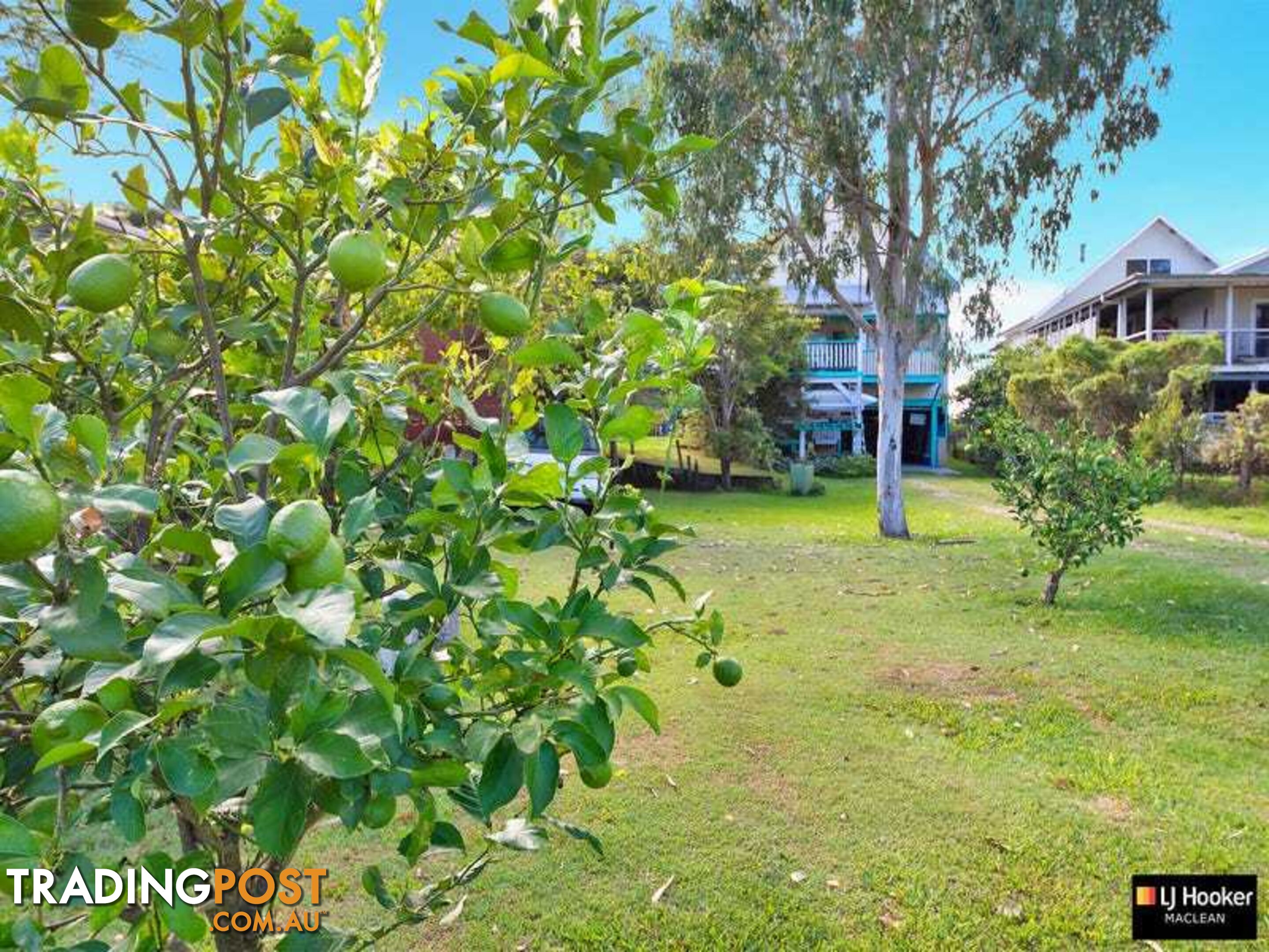 9 Bridge Street LAWRENCE NSW 2460