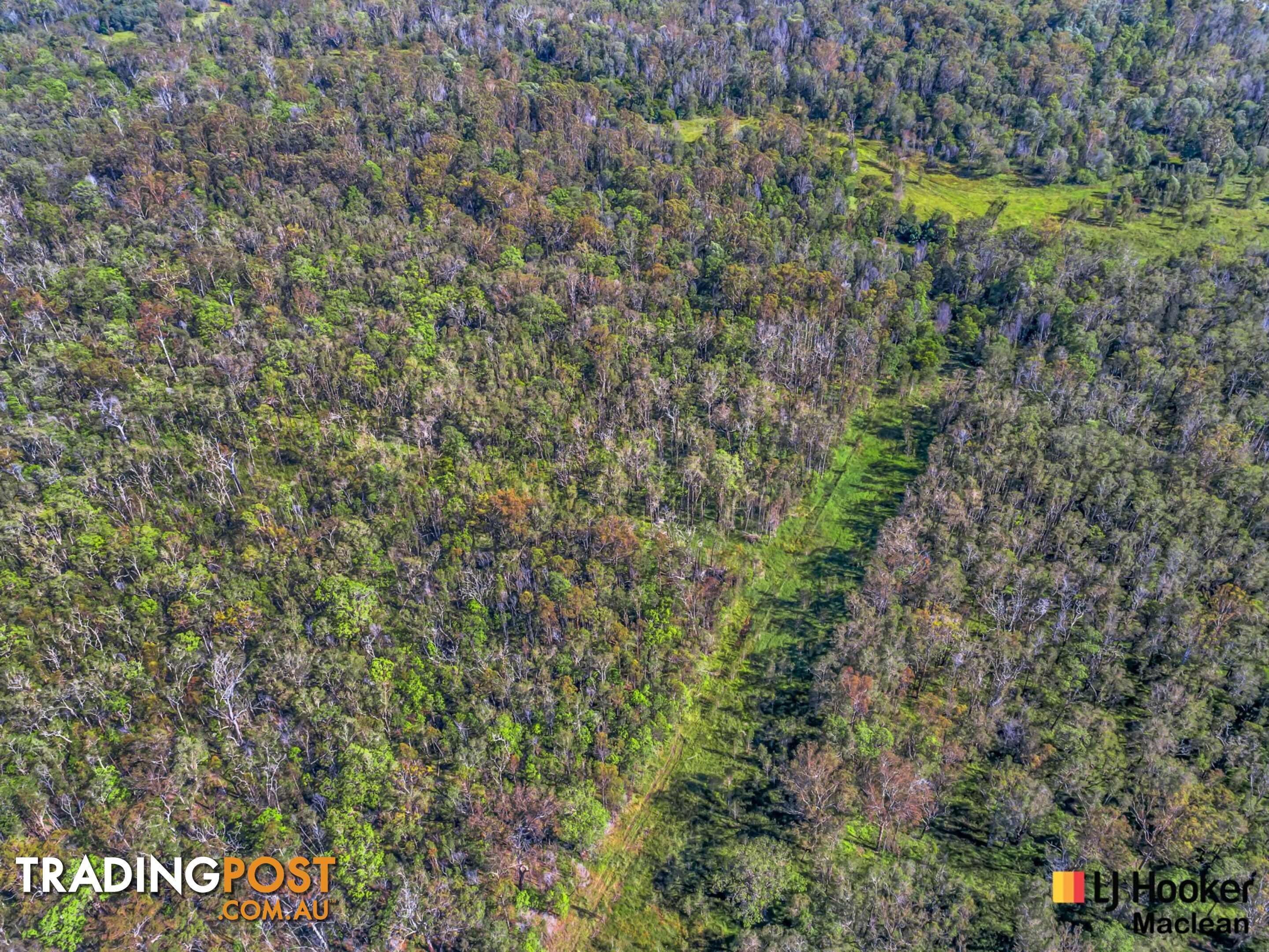 Lot 1 Pacific Highway MORORO NSW 2469