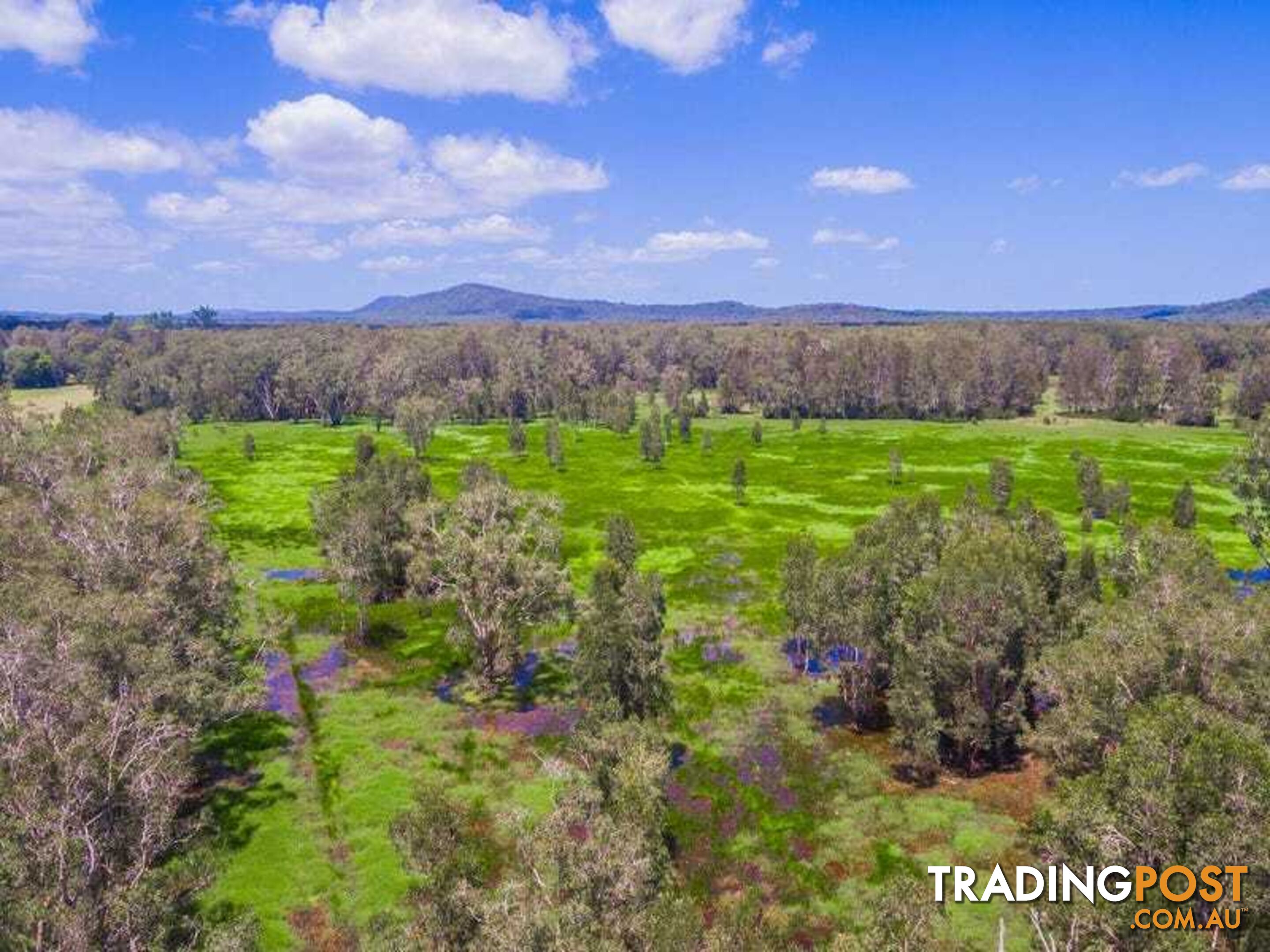 Lot 2 Byrons Lane TYNDALE NSW 2460