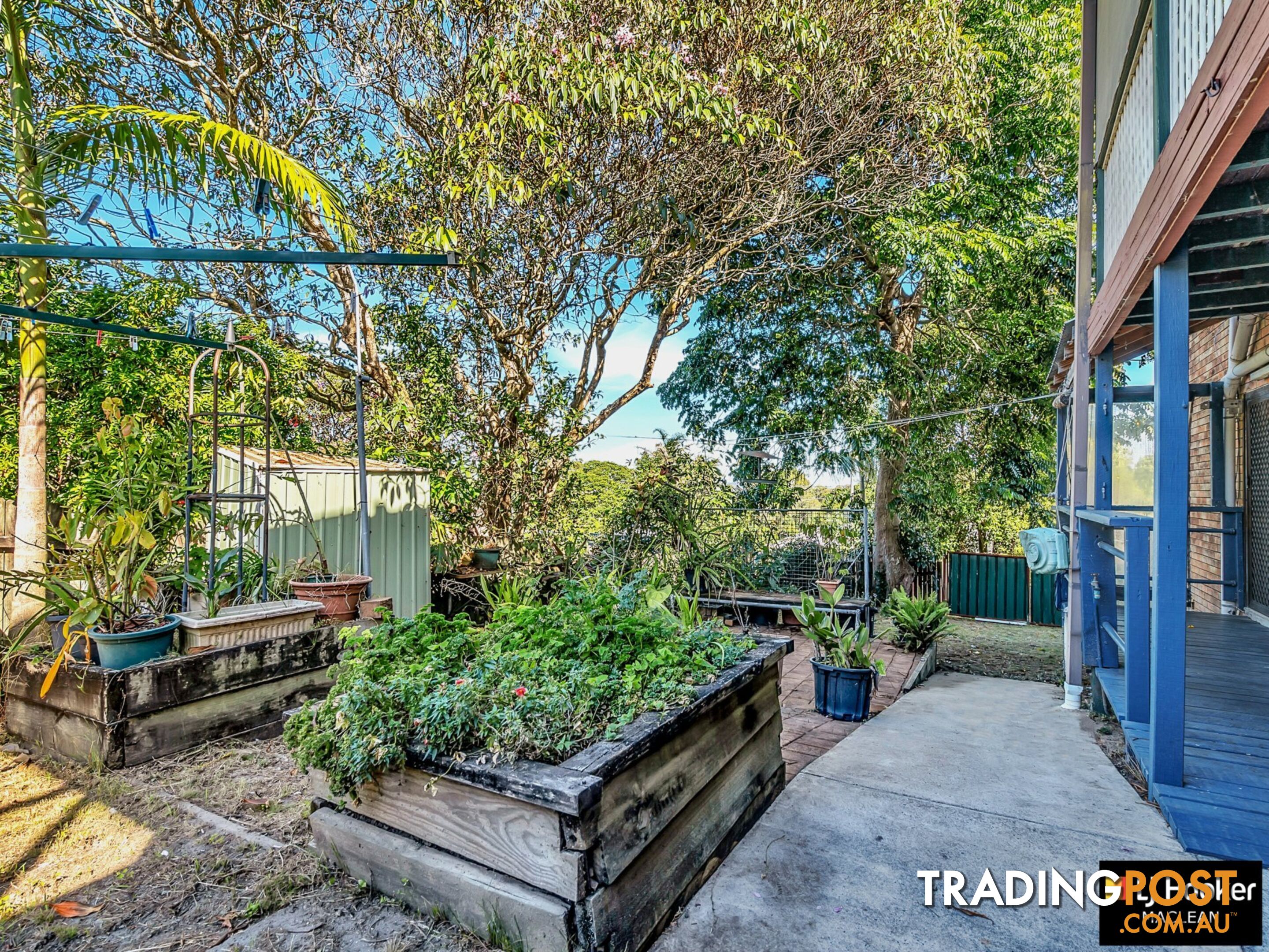 40 Church Street MACLEAN NSW 2463