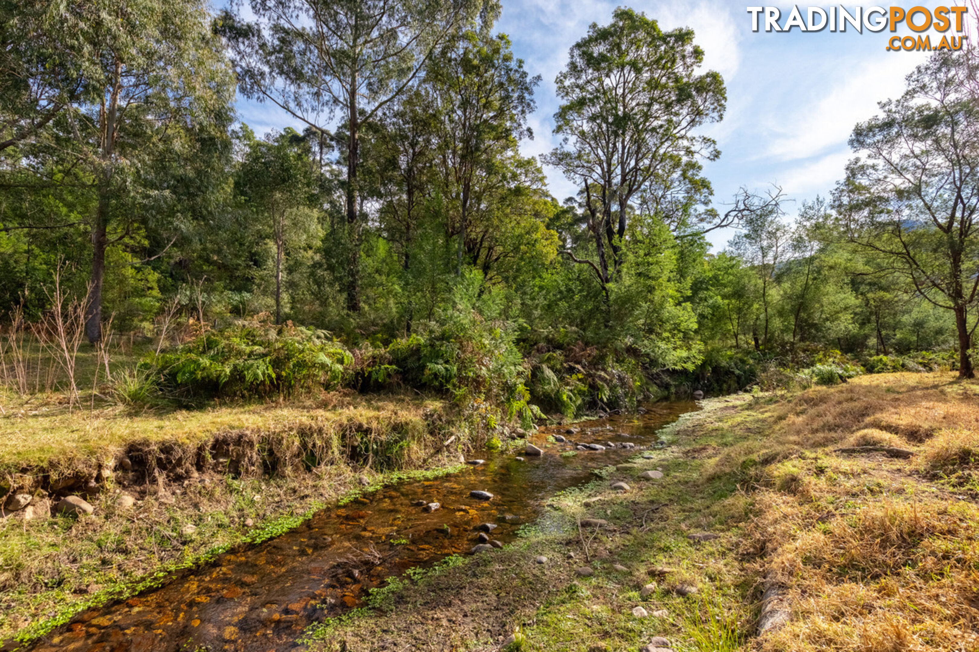 27 Yankees Gap Fire Trail Bemboka NSW 2550