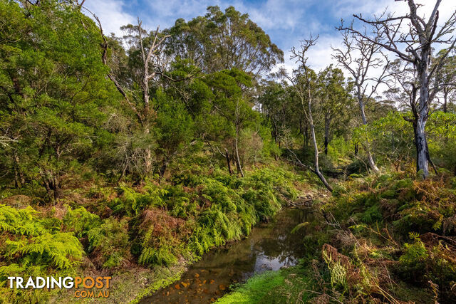 27 Yankees Gap Fire Trail Bemboka NSW 2550