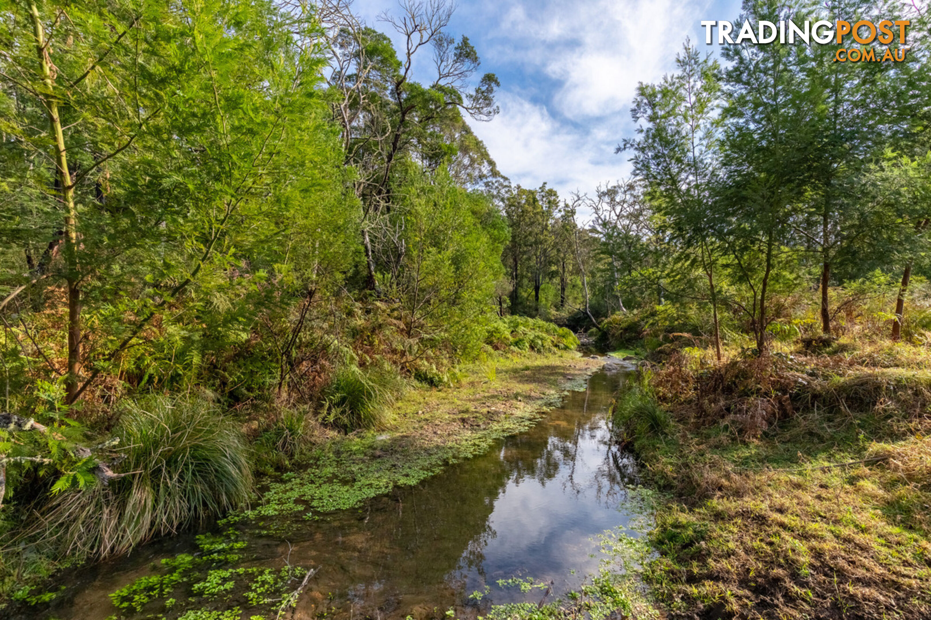 27 Yankees Gap Fire Trail Bemboka NSW 2550