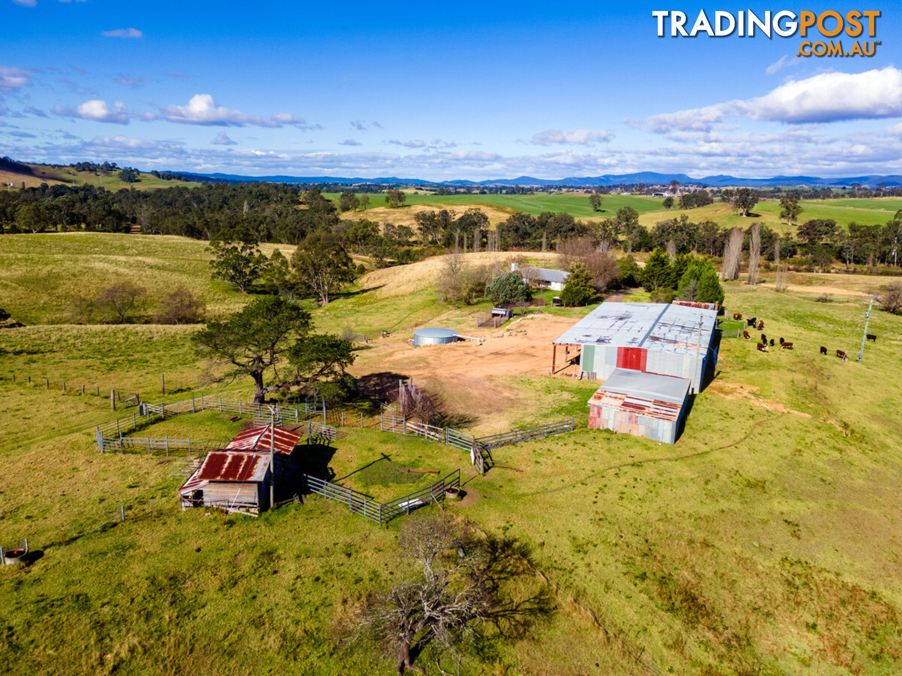 294 Polacks Flat Road Morans Crossing NSW 2550