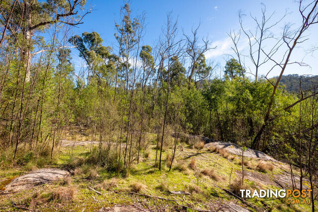 130 DP750228 Fulligans Road Pericoe NSW 2550