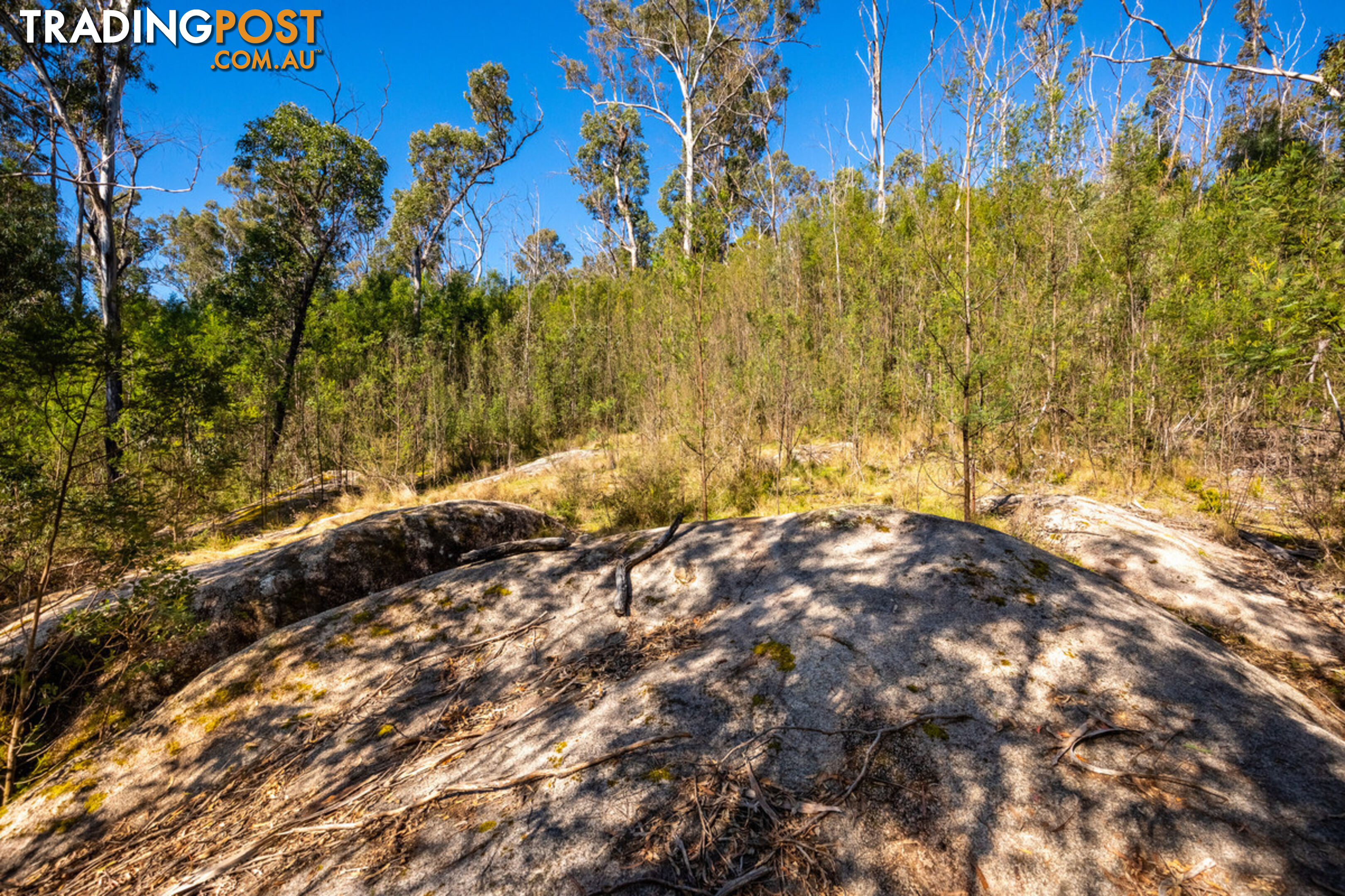 130 DP750228 Fulligans Road Pericoe NSW 2550