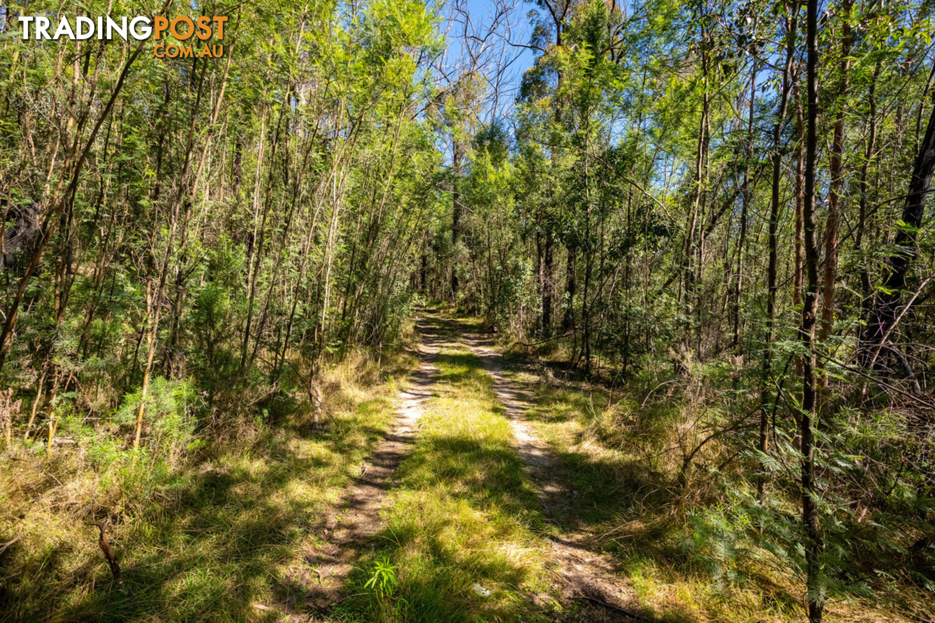 130 DP750228 Fulligans Road Pericoe NSW 2550