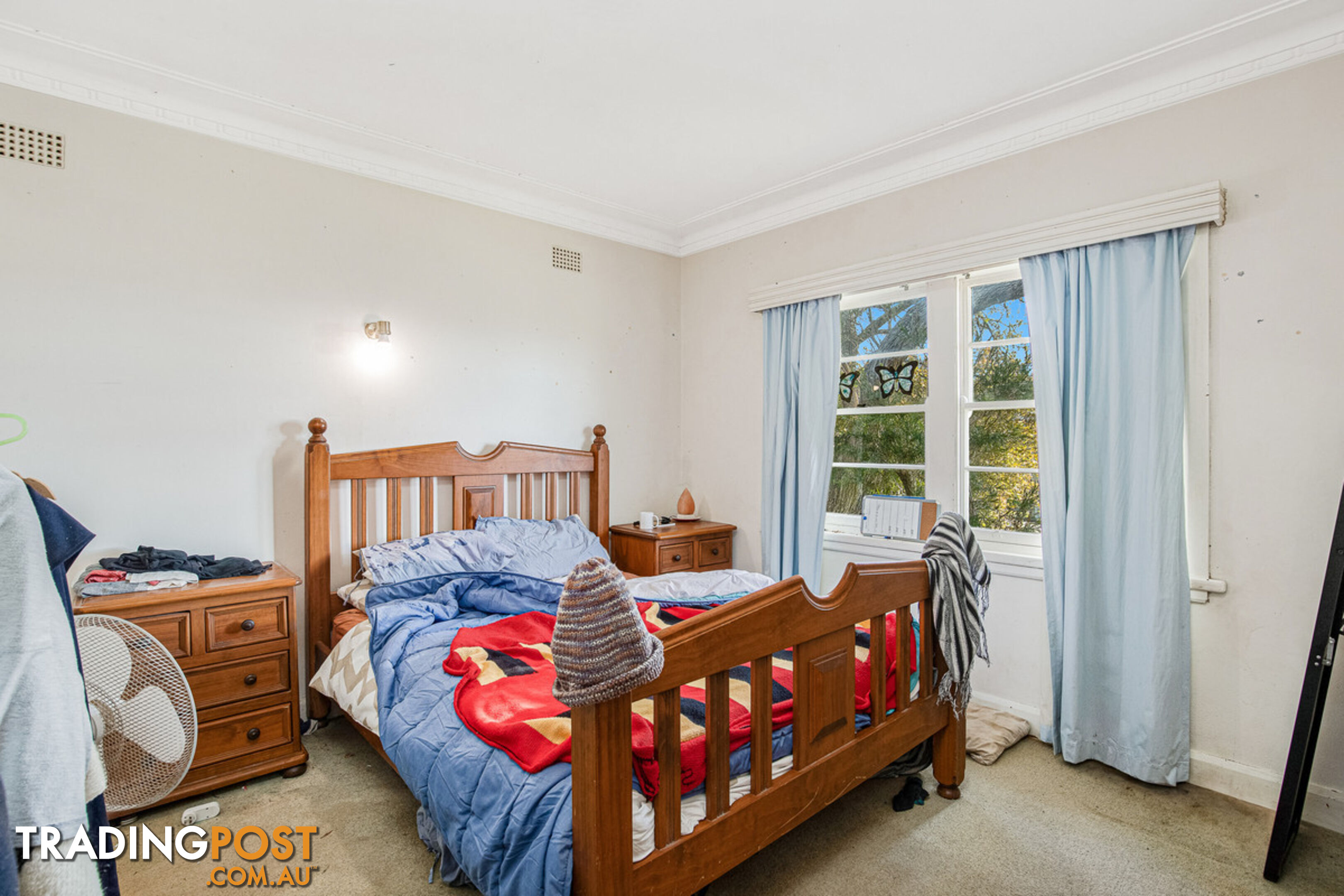 50 Carp Street Bega NSW 2550