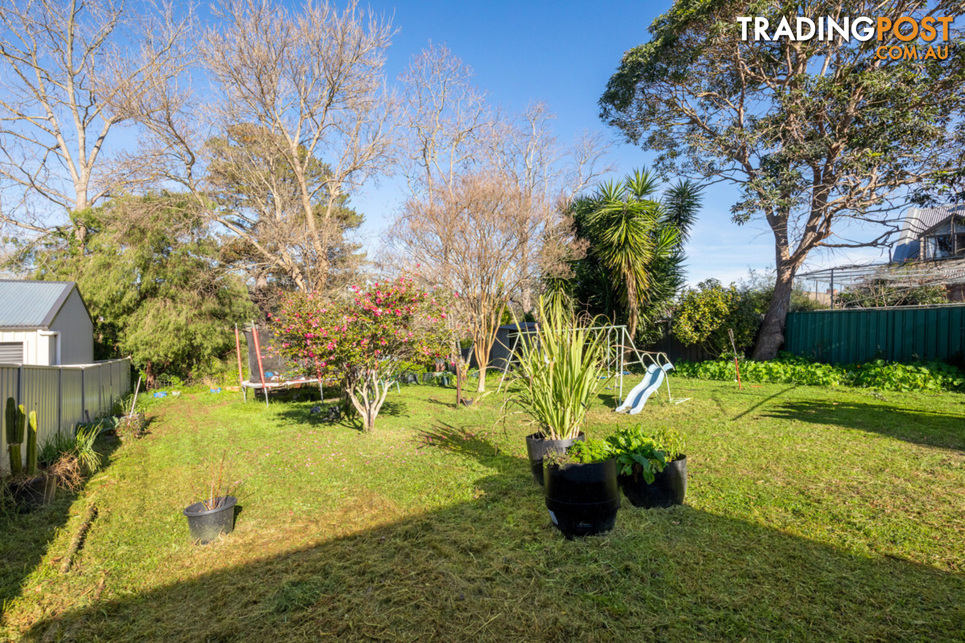 50 Carp Street Bega NSW 2550