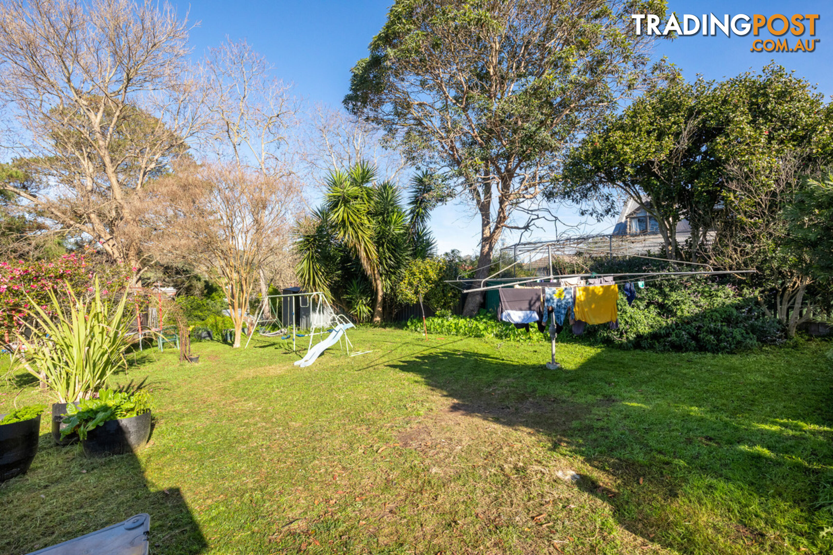 50 Carp Street Bega NSW 2550