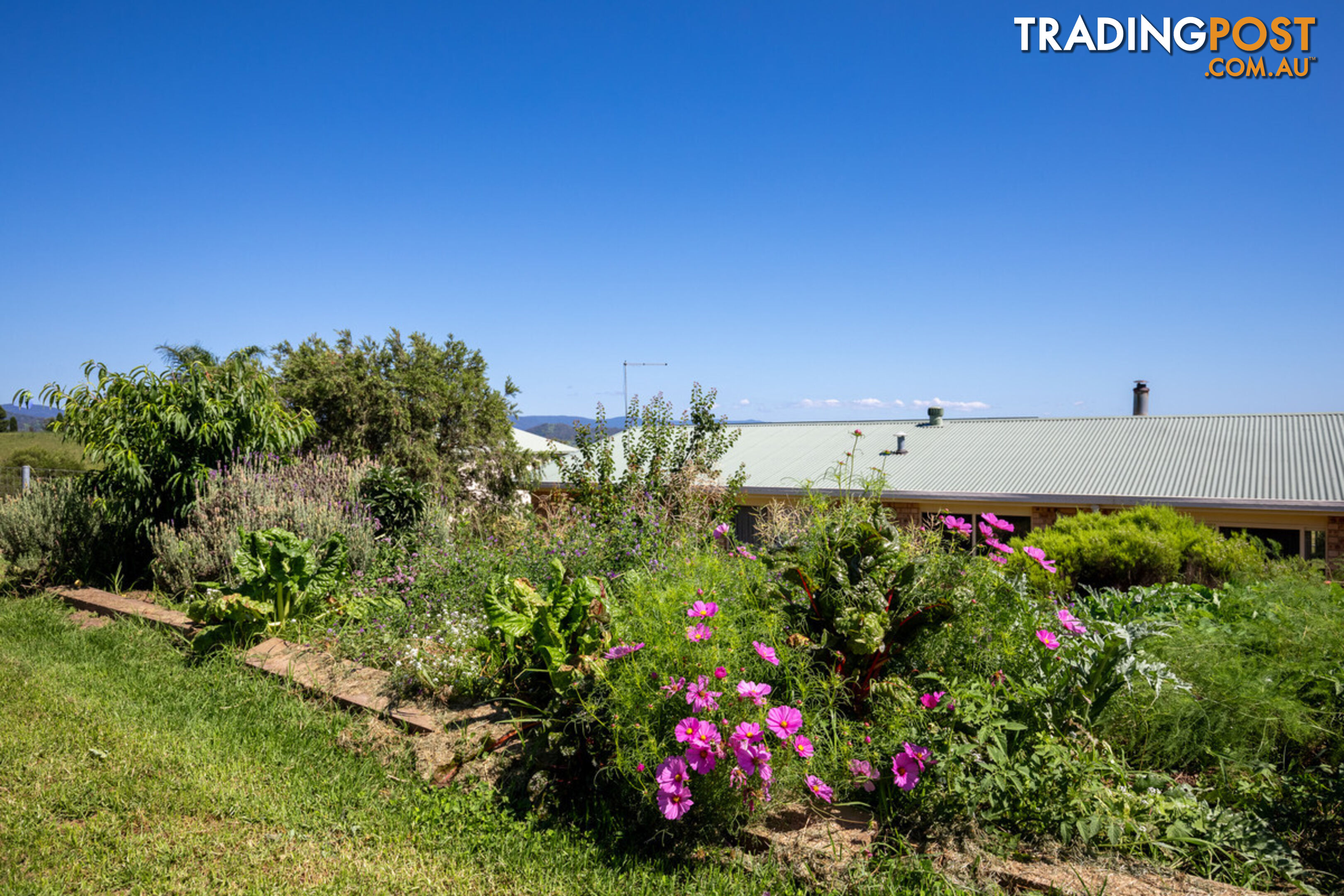 385 Towridgee Lane Candelo NSW 2550