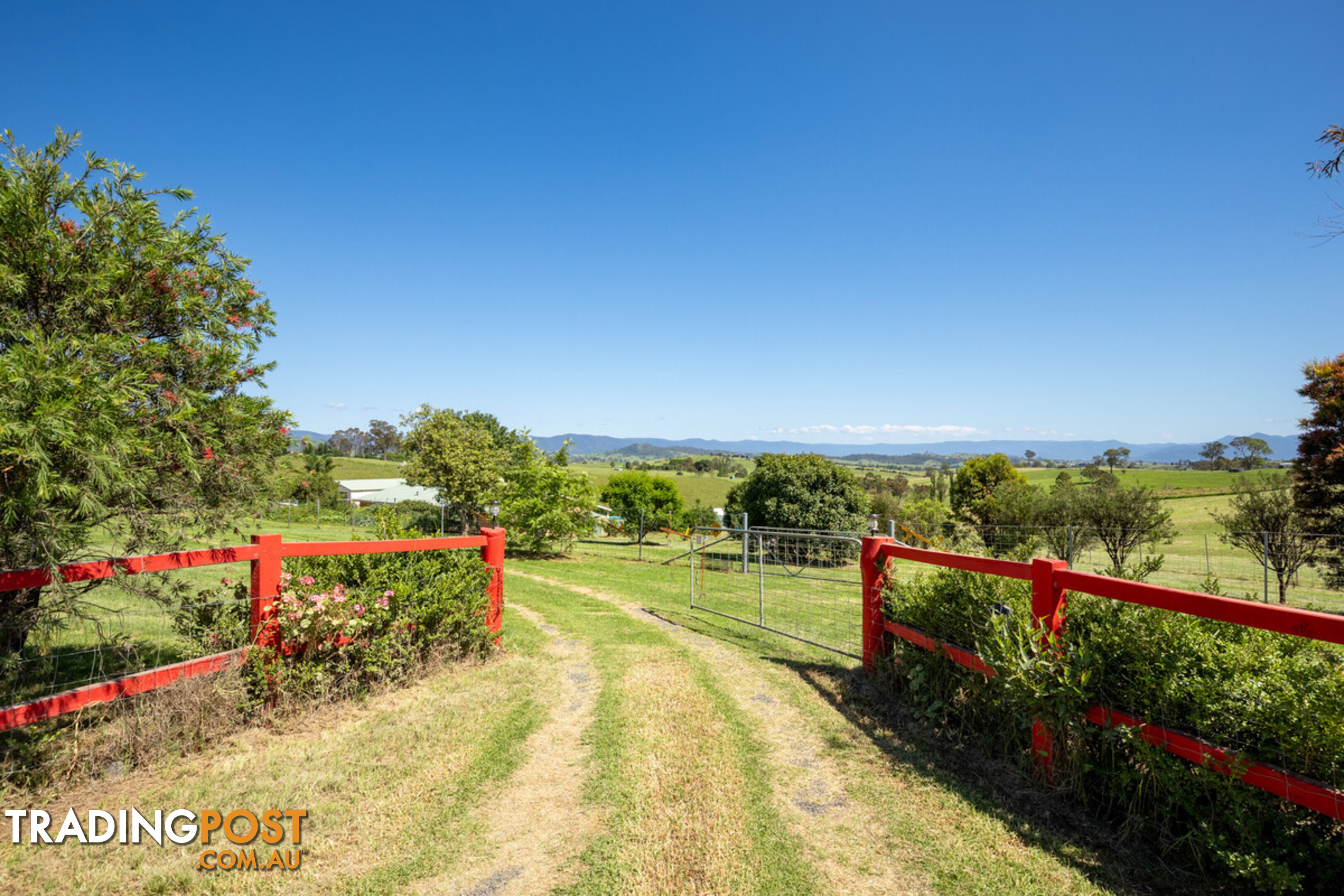 385 Towridgee Lane Candelo NSW 2550