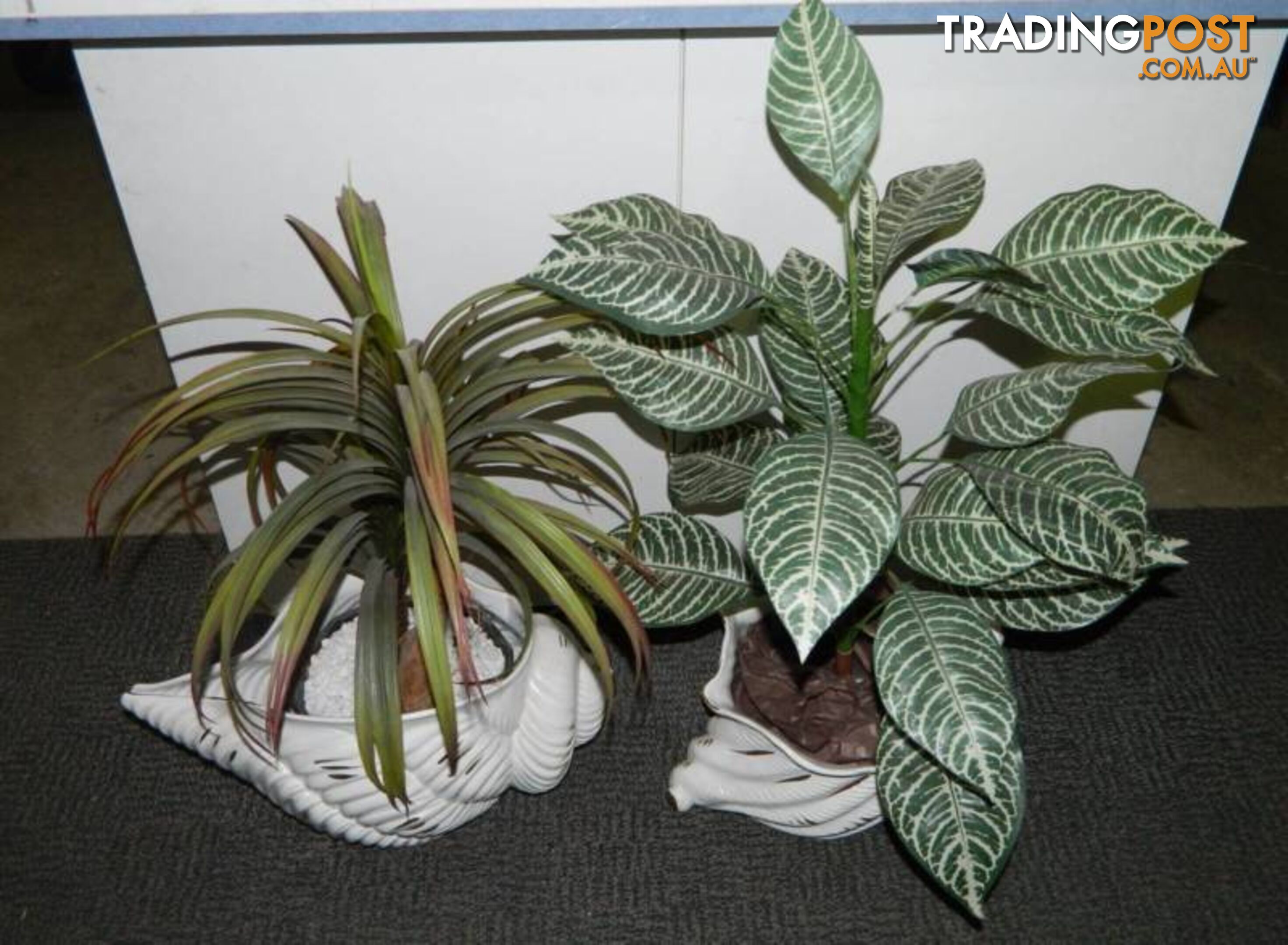 Fake Plants in lovely ceramic sea shell vases !!!