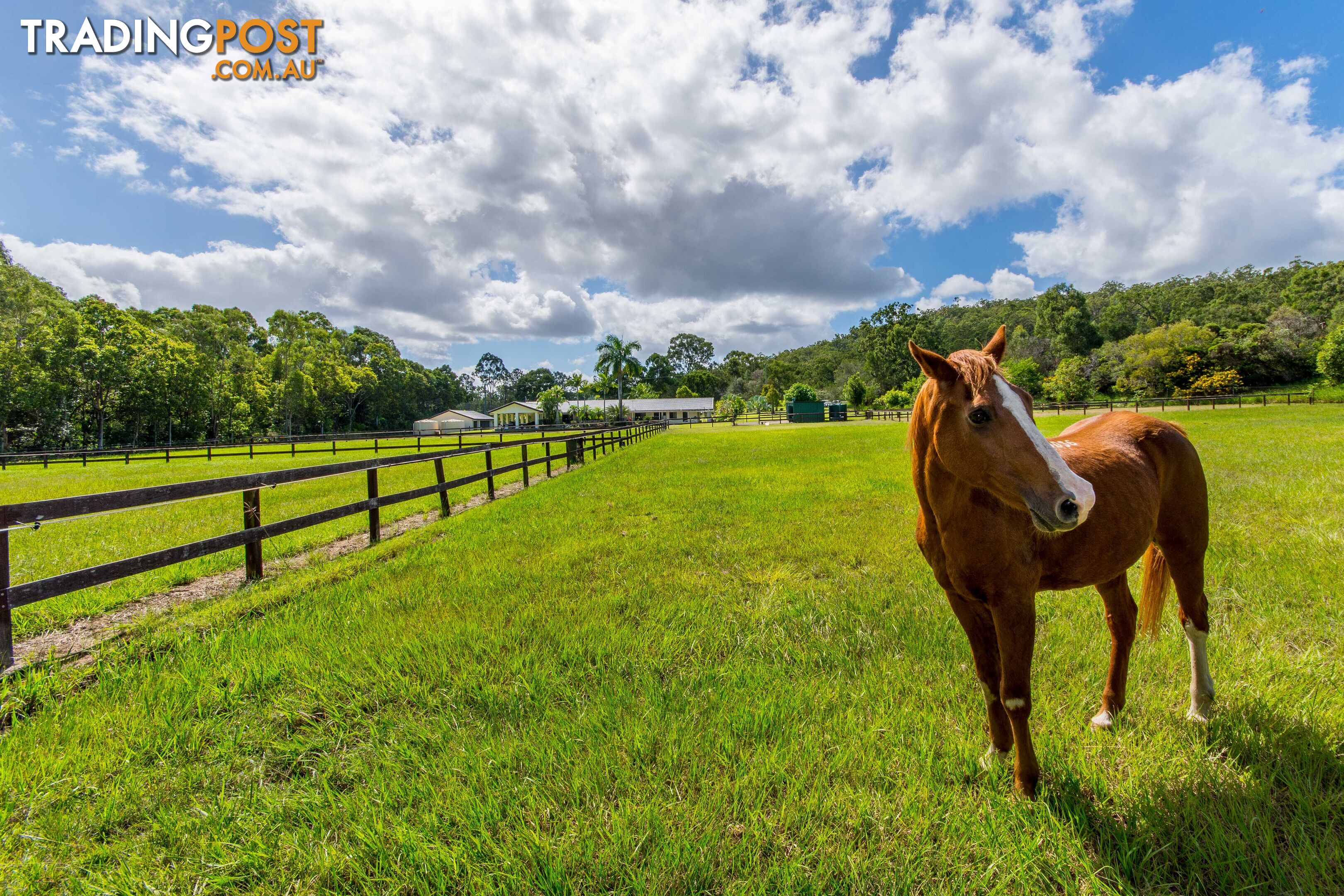 1 Breadsell Dr CABOOLTURE QLD 4510