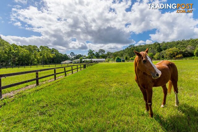 1 Breadsell Dr CABOOLTURE QLD 4510