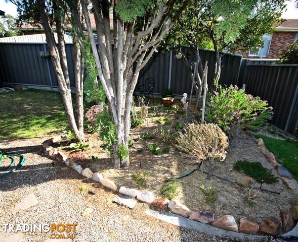 42 Calgaroo Avenue MUSWELLBROOK NSW 2333