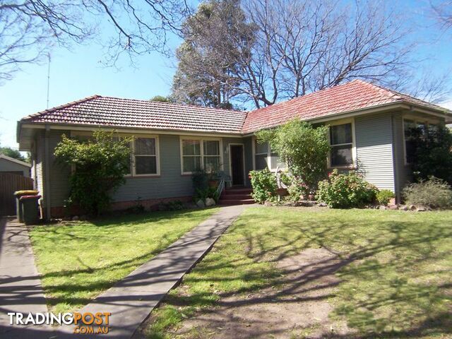 16 Maitland Street MUSWELLBROOK NSW 2333