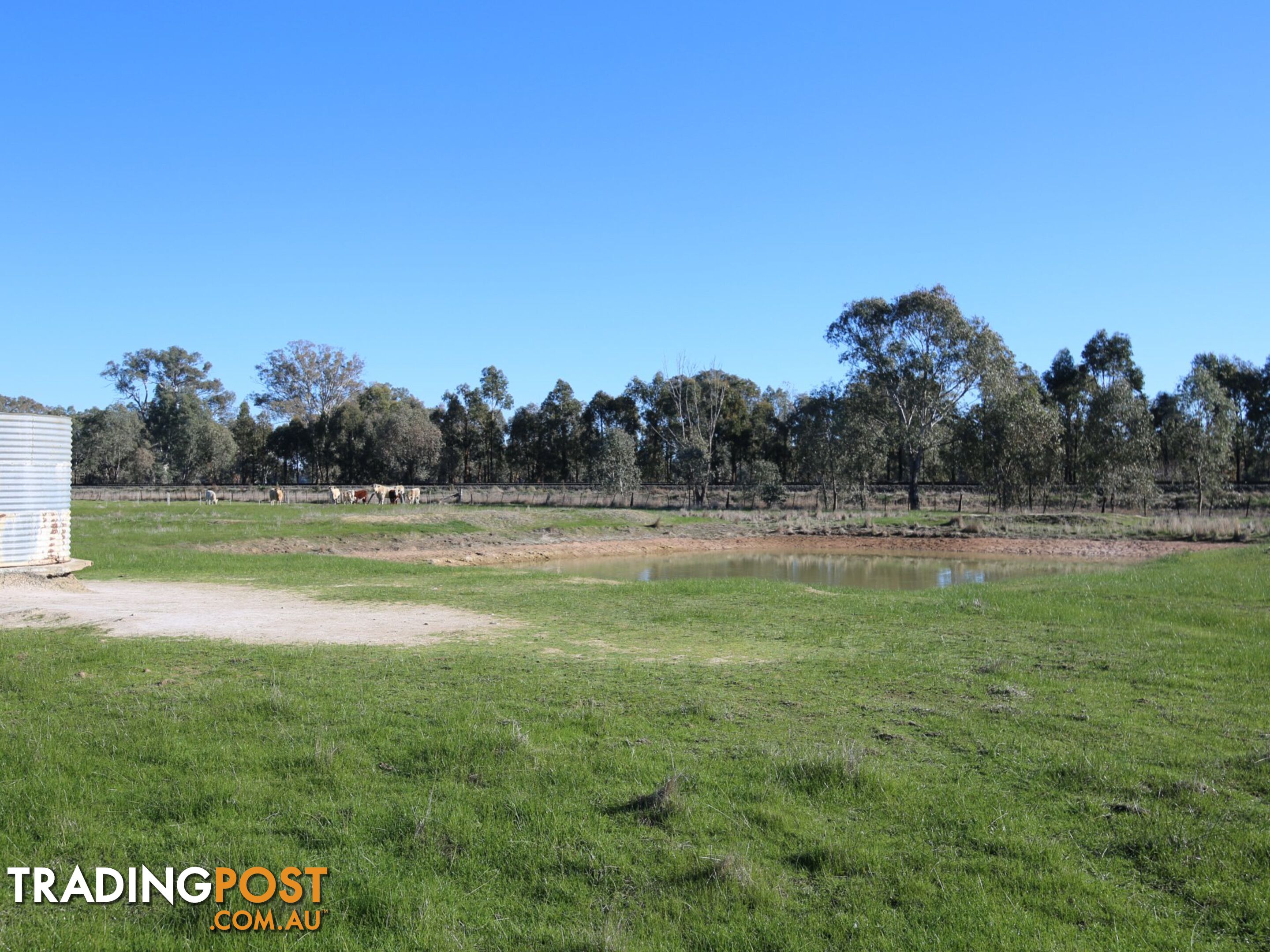 Lot 33A-34 Baddaginnie - Benalla Road BENALLA VIC 3672