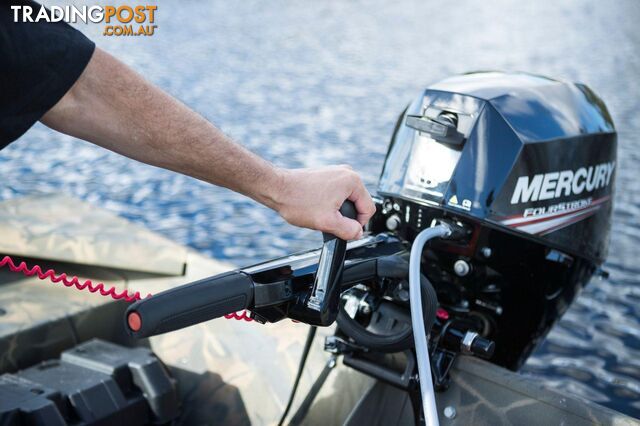 20 HP EFI FOURSTROKE - photo 4 of 11