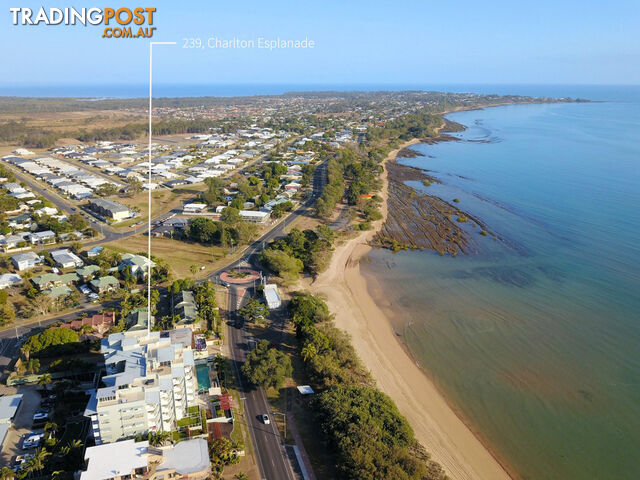 602/239 Esplanade PIALBA QLD 4655