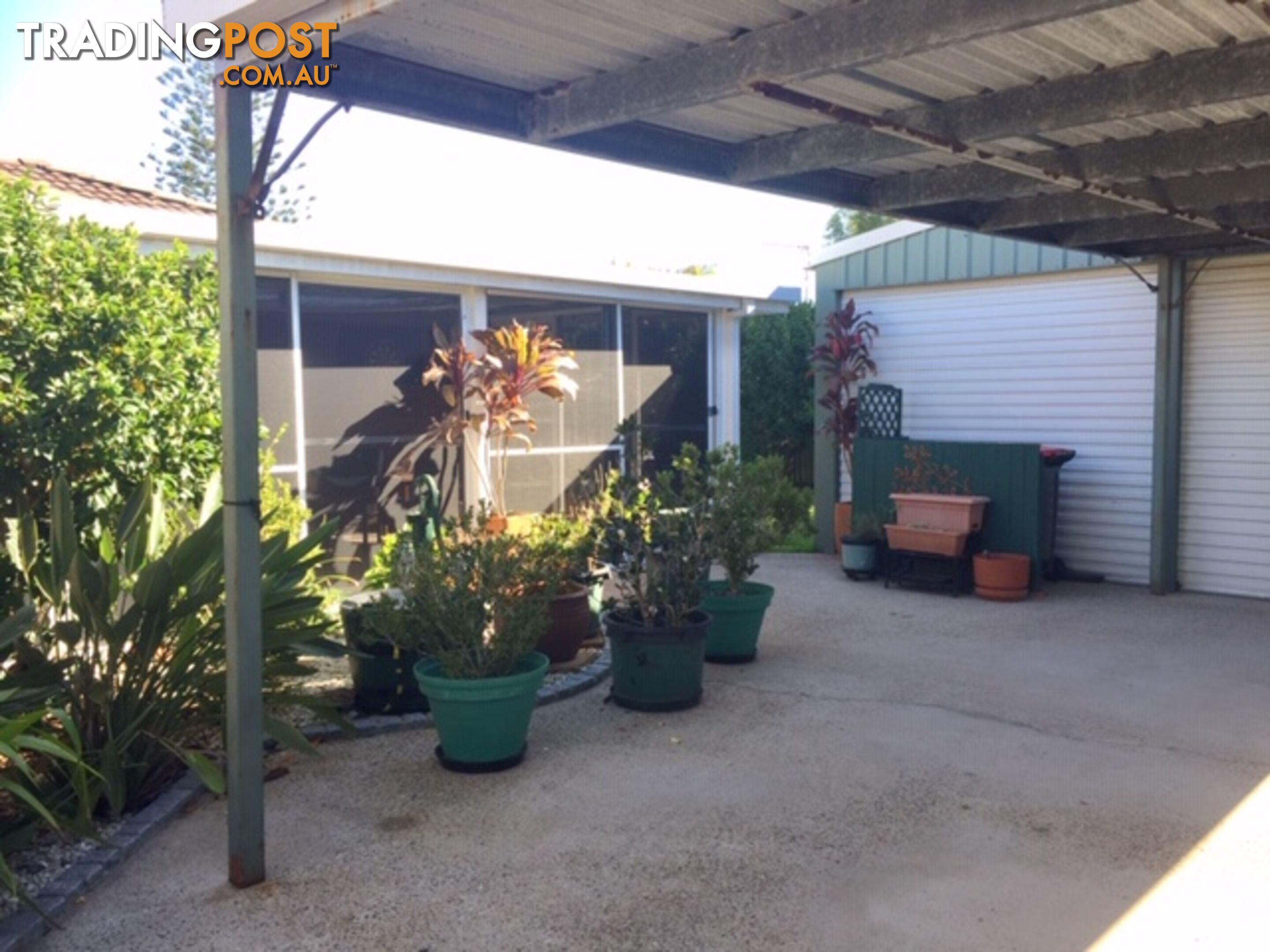 38 Wonga Street SCARNESS QLD 4655