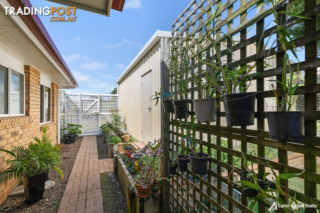 3 Morobe Street KAWUNGAN QLD 4655