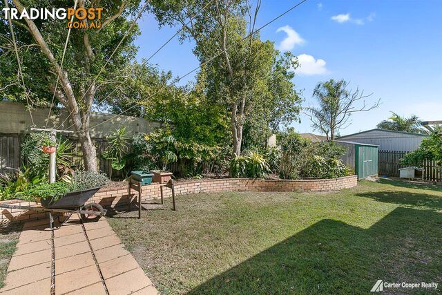 3 Morobe Street KAWUNGAN QLD 4655