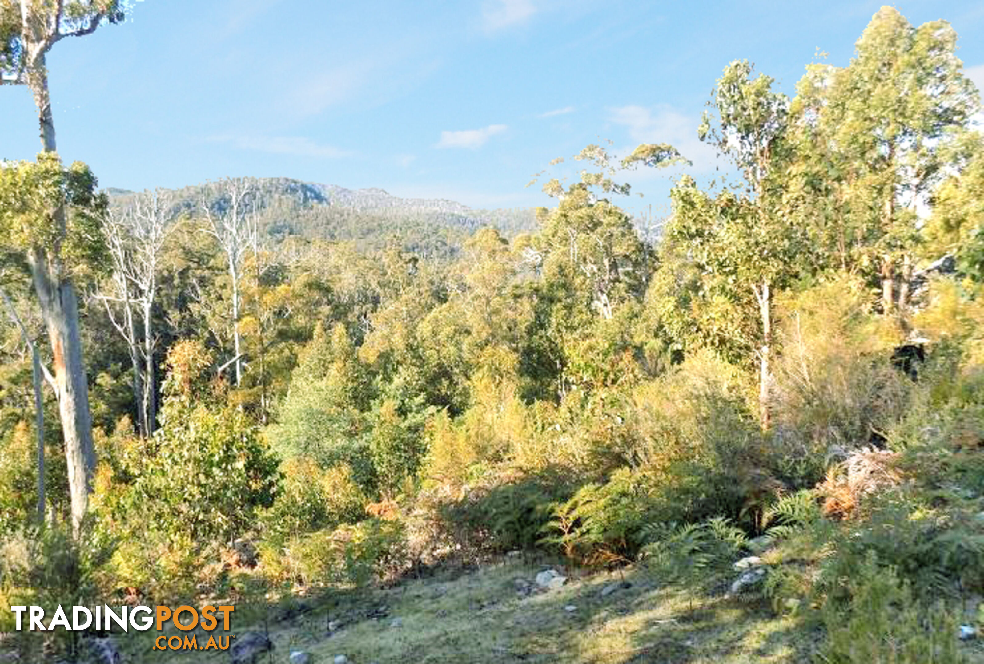 Lot 1 Braslins Road BLACK HILLS TAS 7140