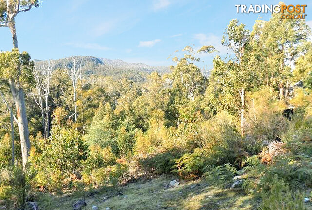 Lot 1 Braslins Road BLACK HILLS TAS 7140