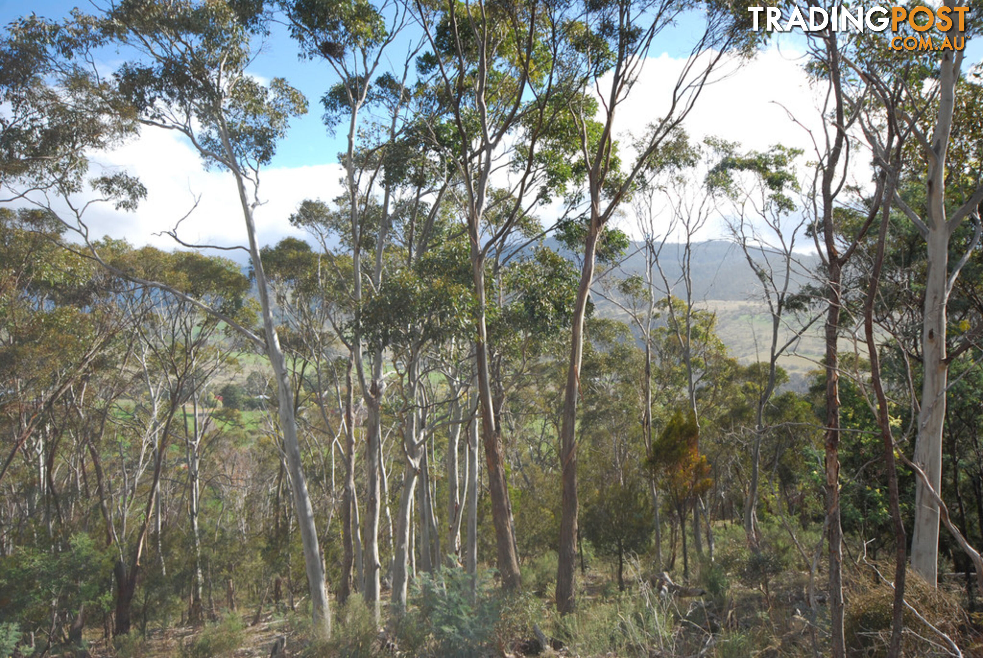 Lot 1 Fosters Gully Road NEW NORFOLK TAS 7140