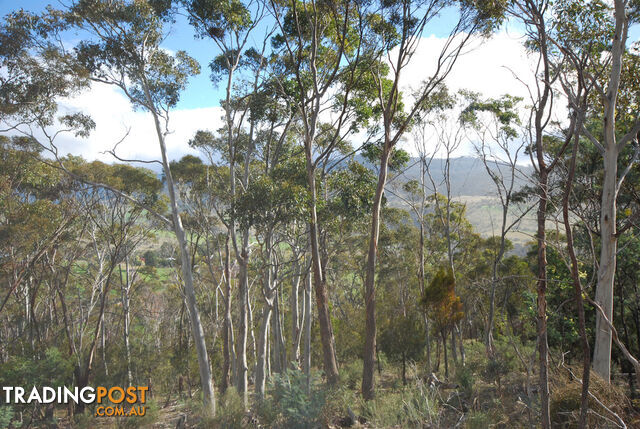 Lot 1 Fosters Gully Road NEW NORFOLK TAS 7140