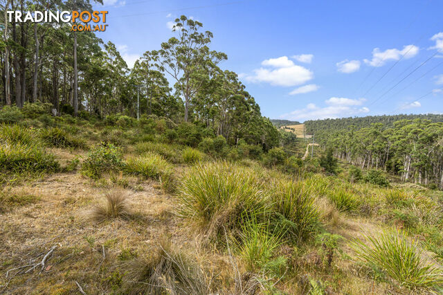 83 Mount Barrow Road NUNAMARA TAS 7259