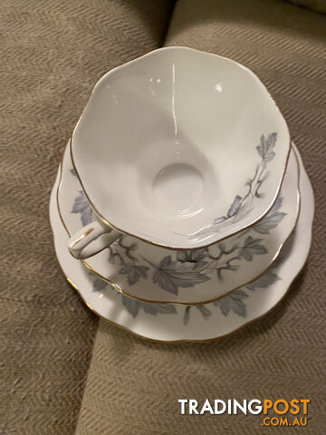 bone china Royal Albert silver maple cup, saucer and plate