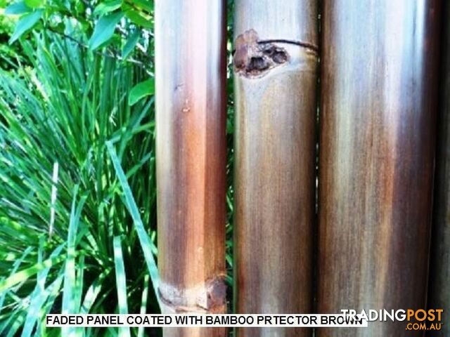BAMBOO PROTECTOR 2LT CLEAR AND REJUVENATORAUSTRALIAN MADE - photo 5 of 9