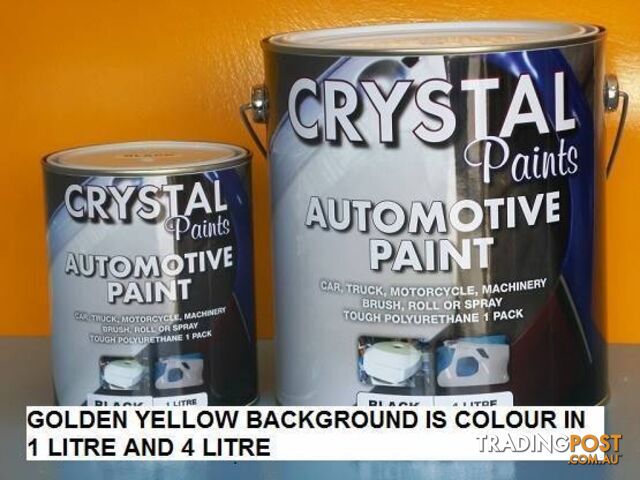 AUTO PAINT 4 LITRE BLUE EASY TO USE OTHER COLOURS