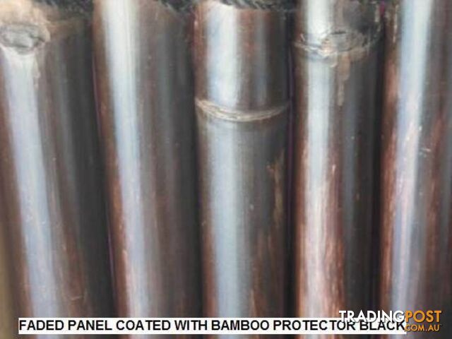 BAMBOO PROTECTOR CLEAR 4 BAMBOO PANELS,SCREENING & FENCING 4LT - photo 4 of 10