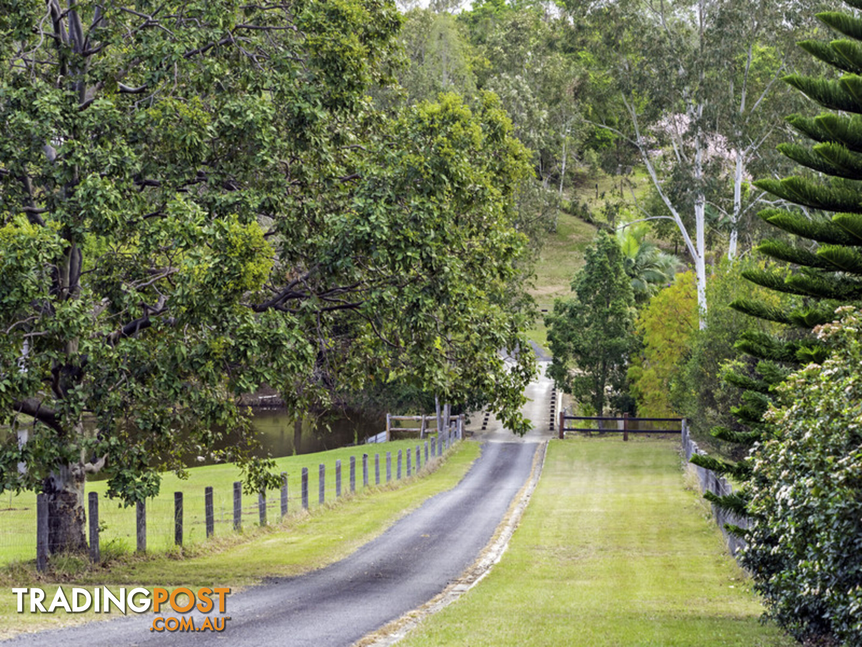 6 Riverine Court Samford Valley QLD 4520