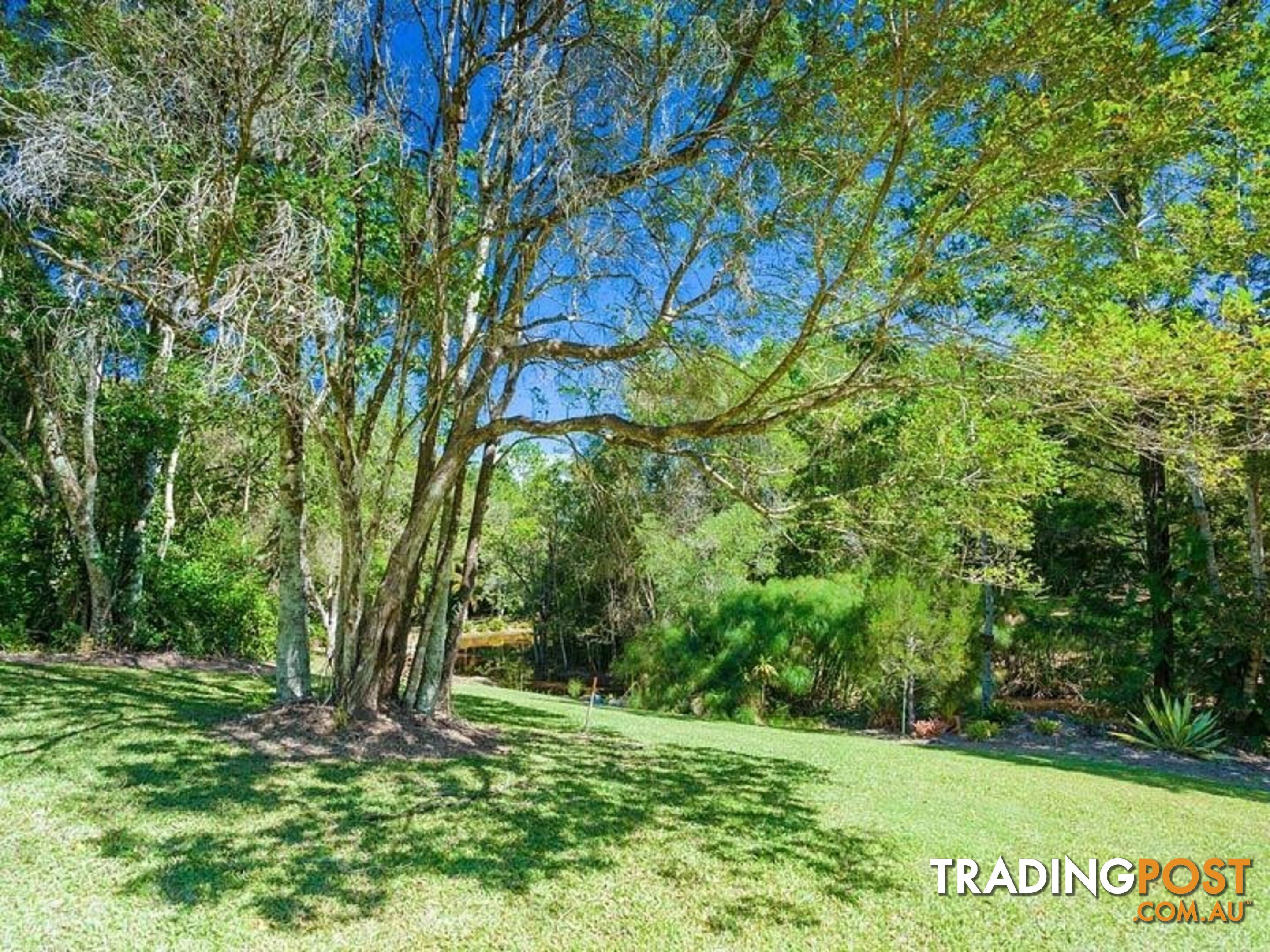 194 Nandroya Road EUMUNDI QLD 4562