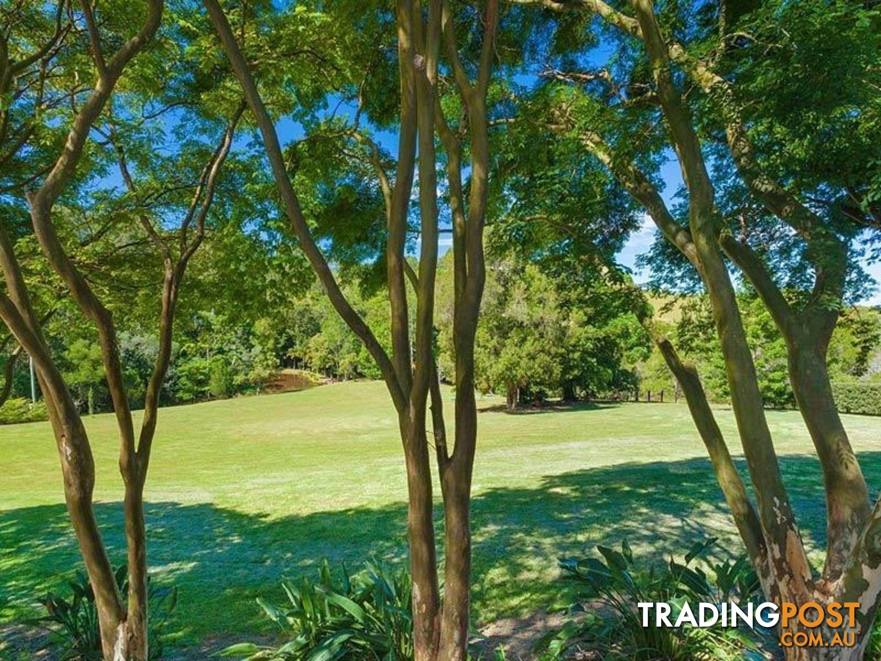 194 Nandroya Road EUMUNDI QLD 4562